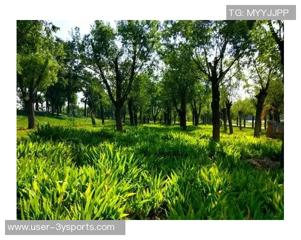 德科祝贺阿尔巴职业生涯圆满结束期待他未来的辉煌成就